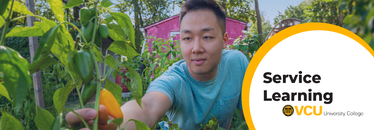 A young picks a pepper in a lush garden.